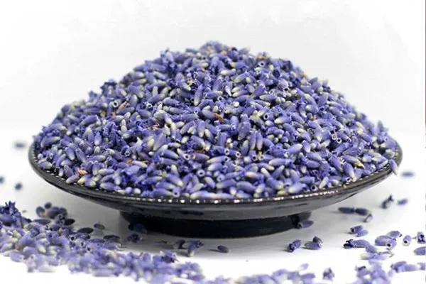 Dried Lavender Tea. Lavender Tea