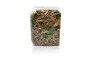 Lemongrass Pandan Tea - 100 g