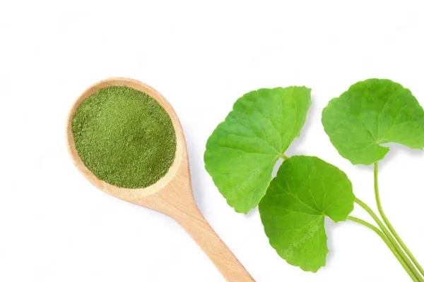 Organic Gotu Kola Extract Powder. Centella Asiatica Powder.