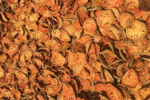 Dried Bael Fruits Wholesale