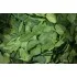 Dried Kaffir Lime Leaves,  Quality Grade from Thailand