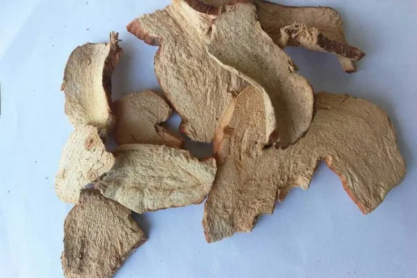 Sliced Dried Greater Galangal, Alpinia Galanga
