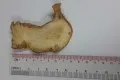Sliced Dried Greater Galangal, Alpinia Galanga