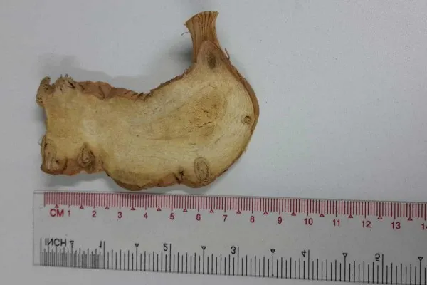 Sliced Dried Greater Galangal, Alpinia Galanga