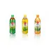 OISHI Green Tea 500 ml in Bulk Volume