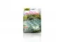 LOBO, Agar Dessert Mix (Artificial Coconut Juice Flavour) - 130 g