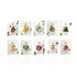 DOI KHAM Dehydrated Fruits Small Bag