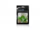 SUPAPORN Facial Scrub Powder, Centella Asiatic - 20 g.