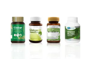 Best Selling Supplement for Ginkgo Biloba leaf Extract