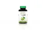 ๋HERBAL ONE Moringa Leaf Extract - 450 mg x 100 capsules