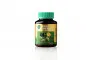 KHAOLAOR Moringa - 450 mg x 100 capsules
