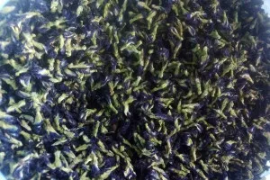 Dried Butterfly Pea Flowers from Thailand