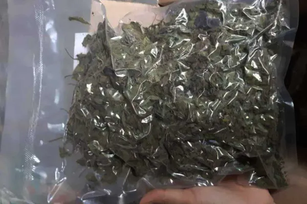 Dried Holy Basil Leaves, Dried Tulsi Leaves