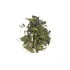 Dried Holy Basil Leaves, Dried Tulsi Leaves