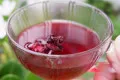 Dried Hibiscus Roselle Premium Grade Wholesale from Thailand