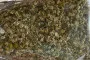 Dried Organic Chamomile Flowers - 100 g