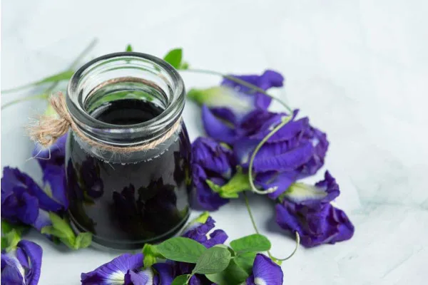 100% Fine Butterfly Pea Powder