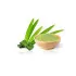 Organic Pandan Leaves Powder
