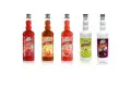 DING FONG Fruit Squash in Various Flavors