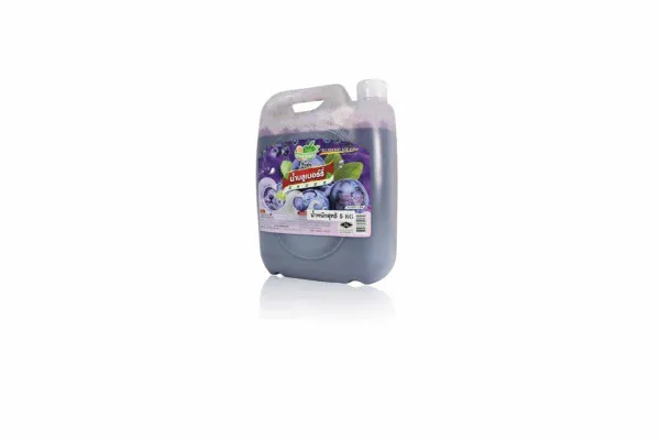 DING FONG Fruit Squash, Blueberry - 5 kg