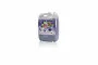 DING FONG Fruit Squash, Blueberry - 5 kg