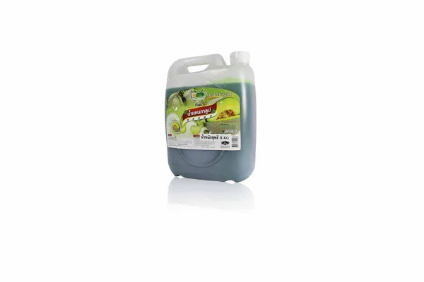 DING FONG Fruit Squash, Cantaloupe - 5 kg