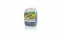 DING FONG Fruit Squash, Cantaloupe - 5 kg