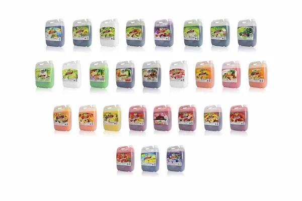 DING FONG Fruit Squash in Various Flavors