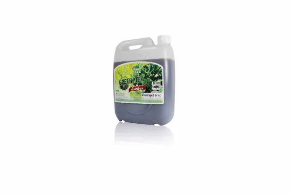 DING FONG Fruit Squash, Green Tea - 5 kg