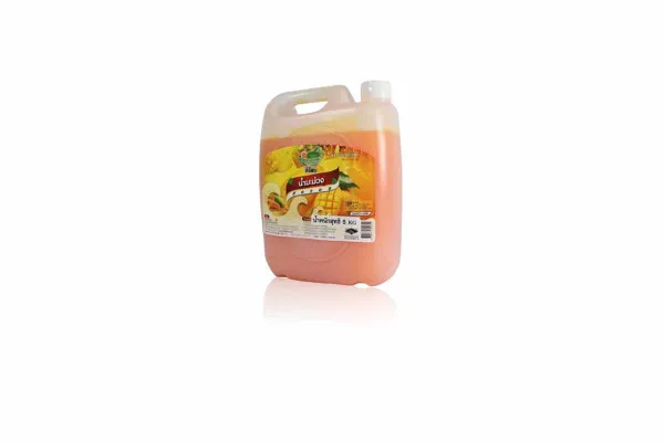 DING FONG Fruit Squash, Mango - 5 kg