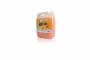 DING FONG Fruit Squash, Orange - 5 kg