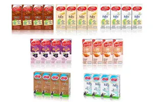 MAGNOLIA GINGKO UHT Milk