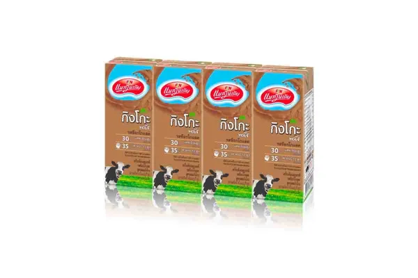 MAGNOLIA GINGKO, UHT Chocolate 180 ml