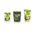 DING FONG Matcha Powder & Japanese Green Tea Powder
