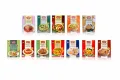 MAESRI Curry Paste Pouches Packing in box