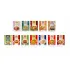 MAESRI Curry Paste Pouches Packing in box