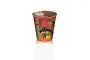 NISSIN CUP Instant Noodle, Tonkotsu Flavor - 70 g