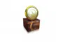 SPEED WHITE PLUS Ginseng Cream - 20 g