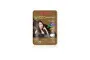 CAREBEAU Hair Color Shampoo , Light Brown - 20 ml