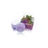 BB BEAUTY QUEEN Grape Gluta Cream
