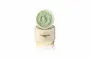 MADAME ORGANIC Whitening Arbutin - 20 g 
