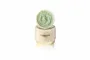 MADAME ORGANIC Whitening Arbutin - 5 g 