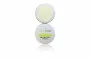 PINE Bark Extract Whitening Cream - 5 g