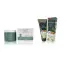 KWANGDAO Natural Herbs  Exfoliate Scrub