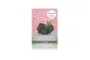 MYU-NIQUE Essence Mask, Charcoal - 25 g