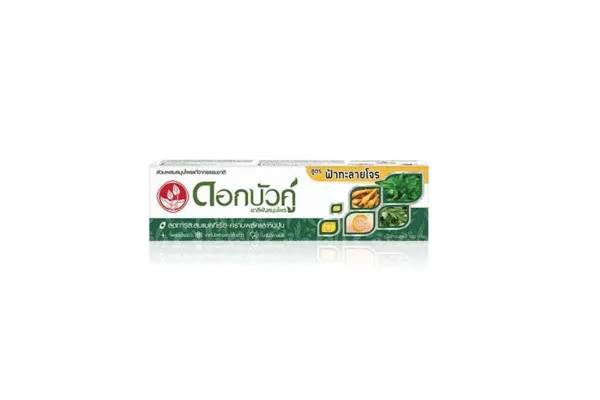 TWIN LOTUS  Tooste Paste, Andrographis Paniculata - 100 g