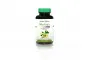 HERBAL ONE Moringa Extract - 100 capsules
