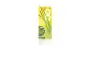 QQ Cocoa Biscuit, Coated Green Tea Matcha Cream - 192 g (16 g x 12 Pcs)