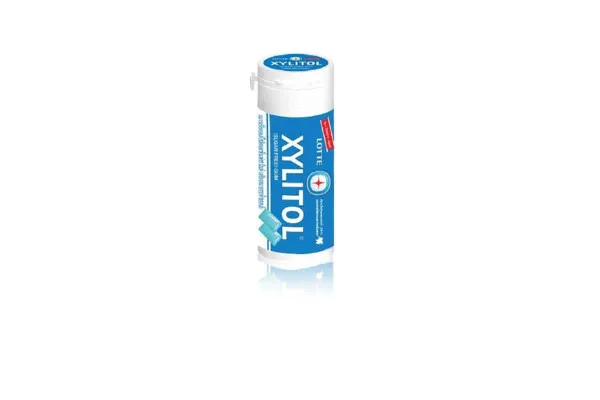 LOTTE Xylitol Mini Bottle, Freshmint - 29 g