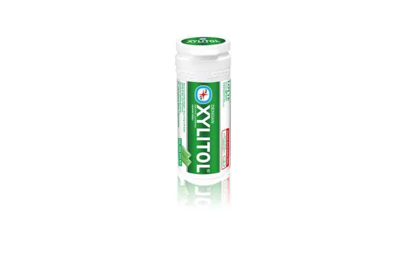 LOTTE Xylitol Mini Bottle, Limemint - 29 g